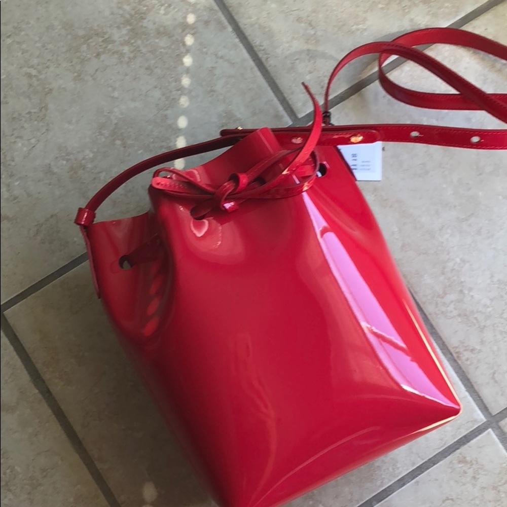 Mansur Gavriel mini bucket bag in Flamma